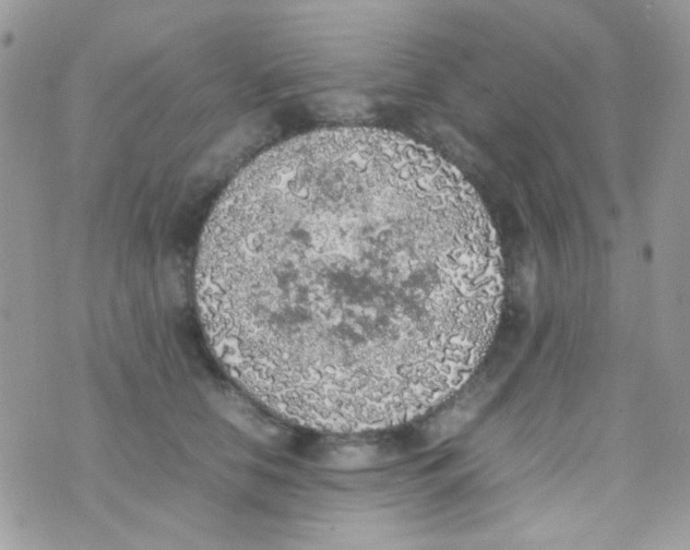 X0000074970658200609291939