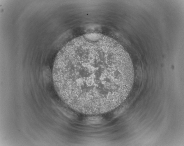 X0000074970659200609291939