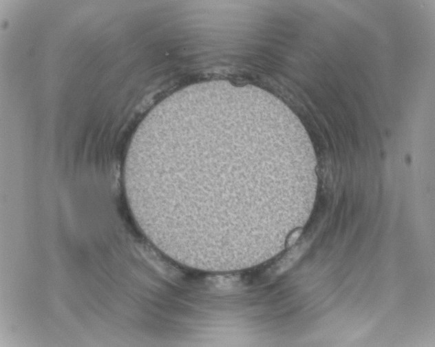 X0000074970660200609291939