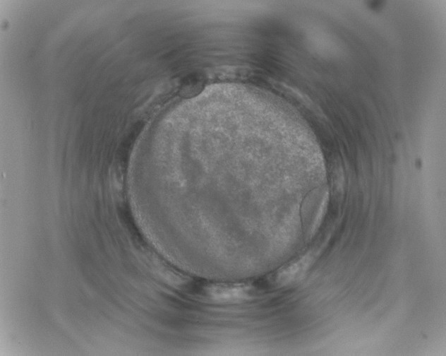 X0000074970661200609291939