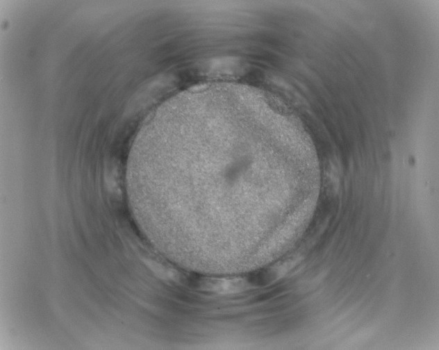 X0000074970663200609291939