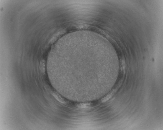 X0000074970664200609291939