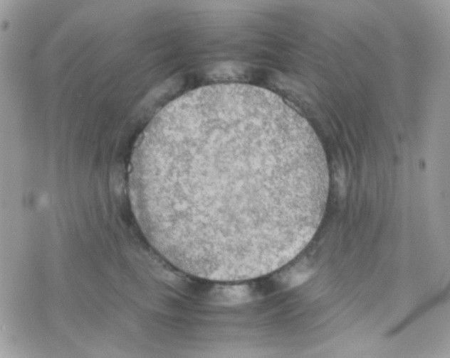 X0000074970665200609291939