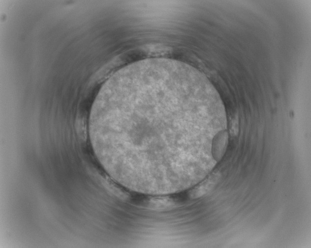 X0000074970666200609291939