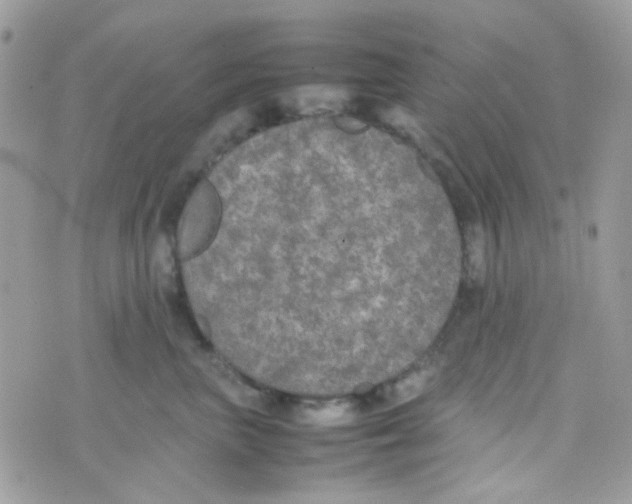 X0000074970667200609291939