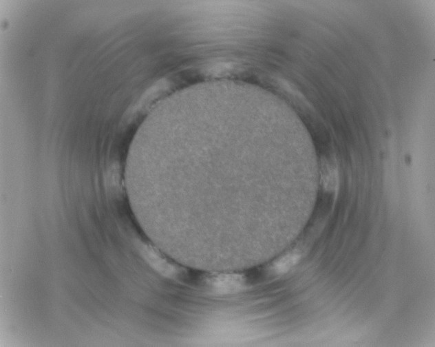 X0000074970670200609291939