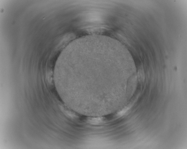 X0000074970671200609291939