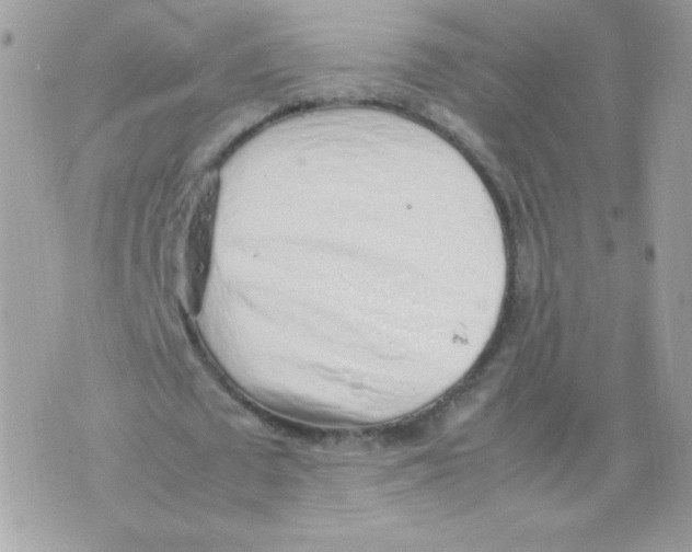 X0000074970673200609291939