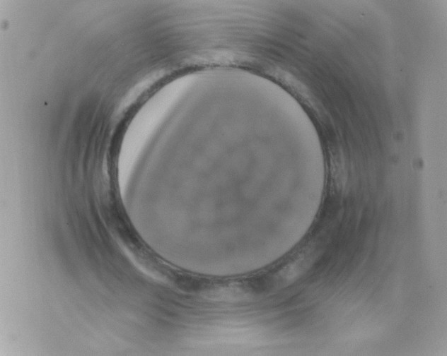 X0000074970674200609291939