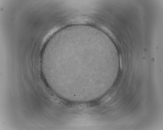 X0000074970675200609291939