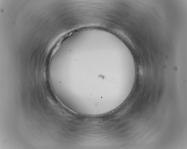 X0000074970676200609291939