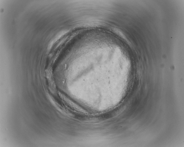 X0000074970677200609291939