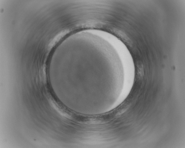 X0000074970678200609291939