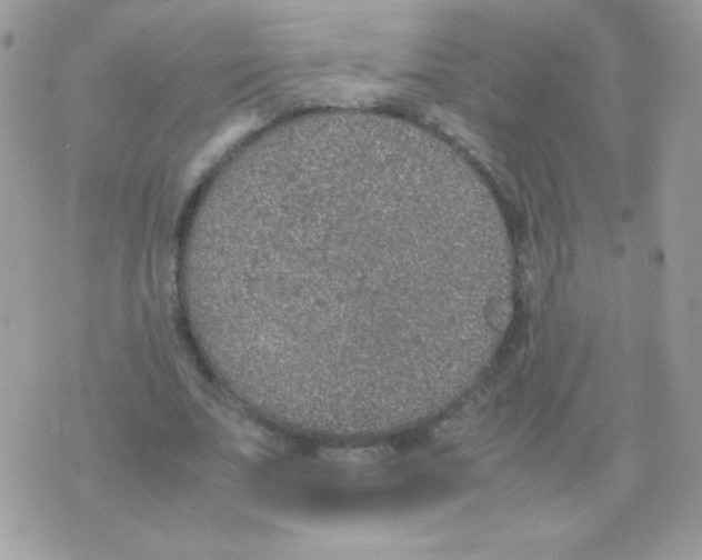 X0000074970679200609291939