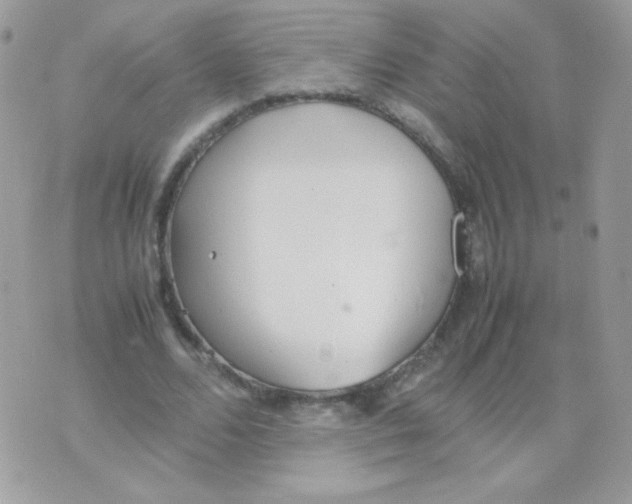 X0000074970680200609291938