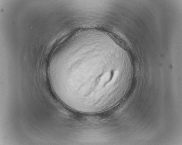 X0000074970681200609291938