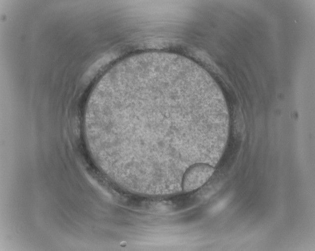 X0000074970683200609291938