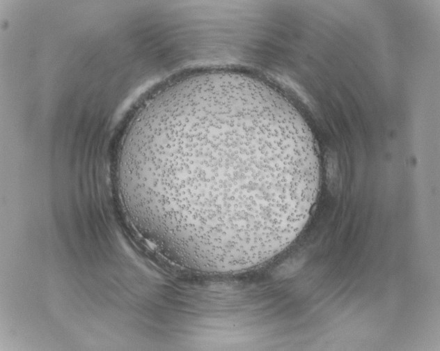 X0000074970684200609291938