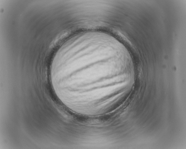 X0000074970685200609291938