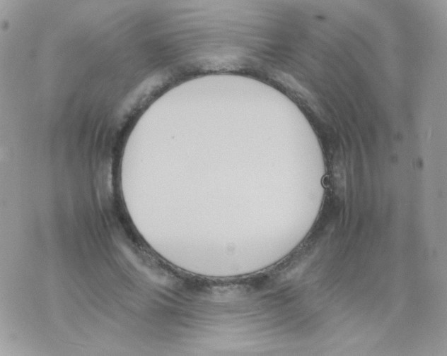 X0000074970686200609291938