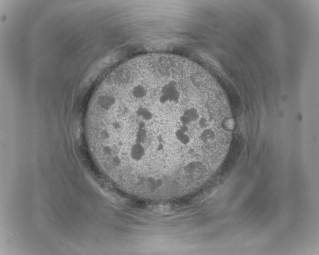 X0000074970687200609291938