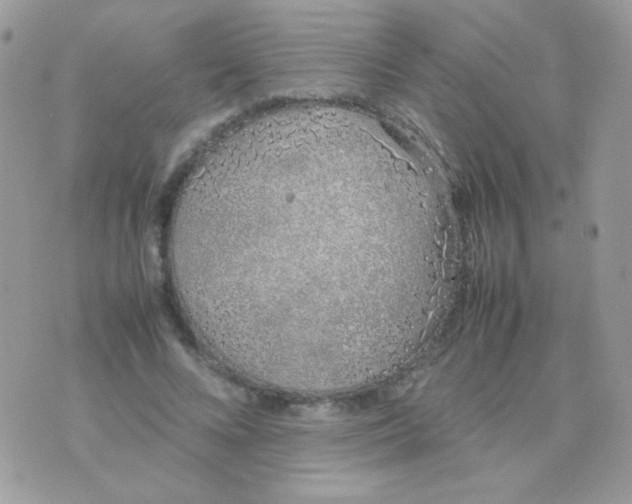 X0000074970688200609291938