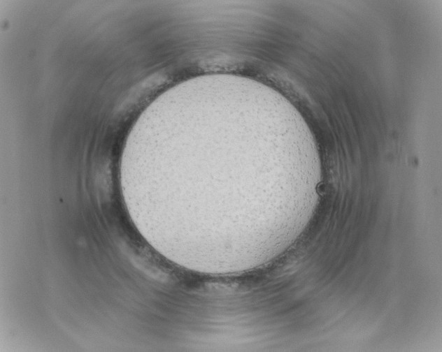 X0000074970690200609291938