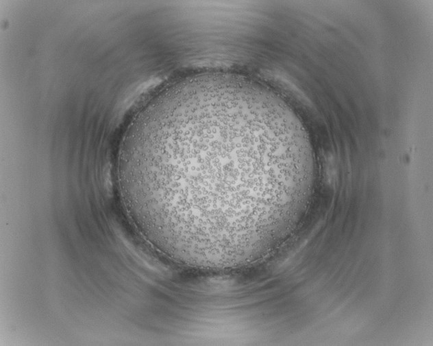 X0000074970692200609291938