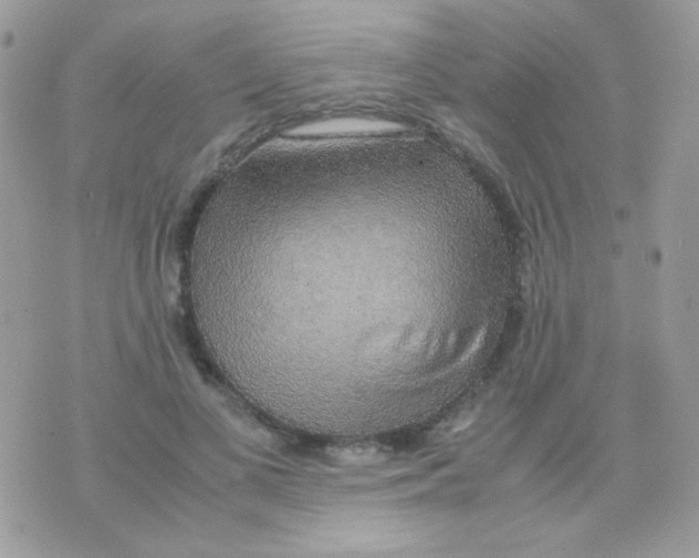 X0000074970693200609291938