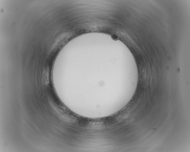 X0000074970694200609291938