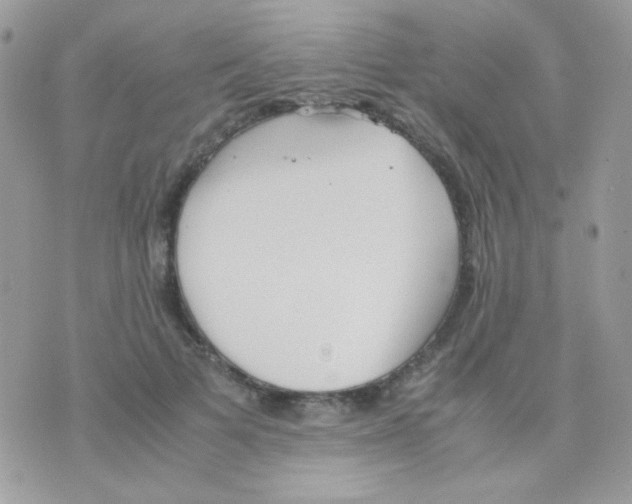 X0000074970697200609291938