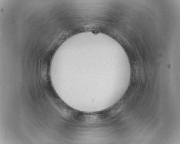 X0000074970698200609291938