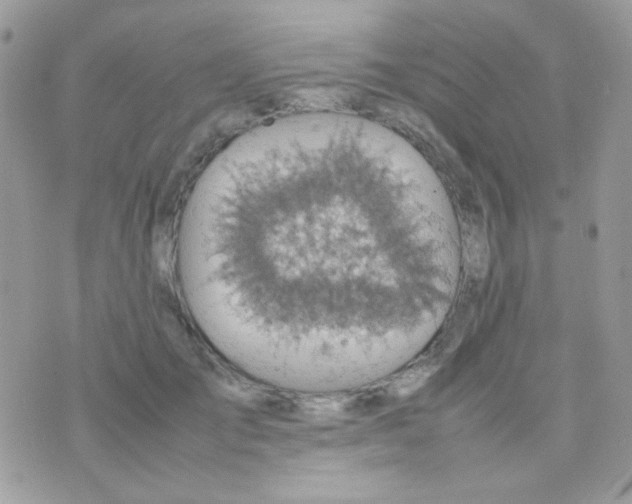 X0000074970701200609291938