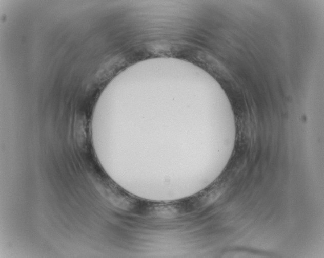 X0000074970702200609291938