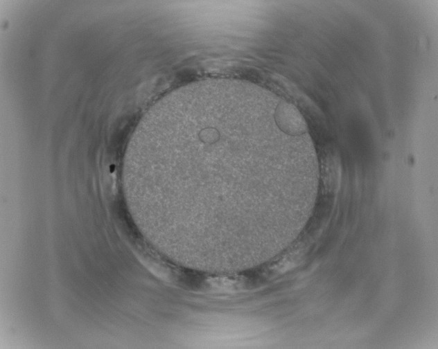 X0000074970703200609291938