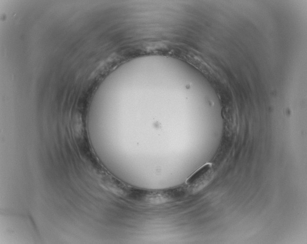 X0000074970704200609291938