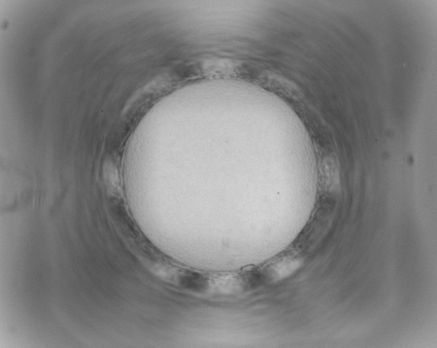 X0000074970705200609291938