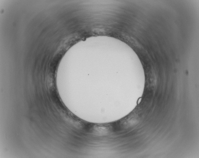 X0000074970706200609291938