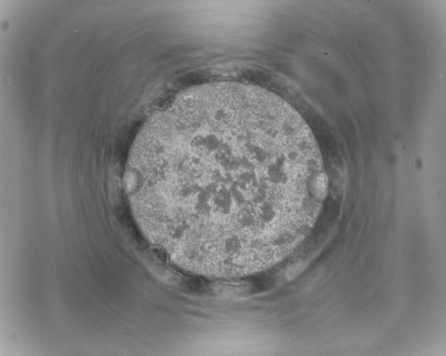 X0000074970707200609291938