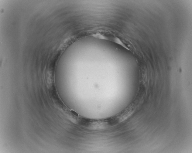 X0000074970708200609291938