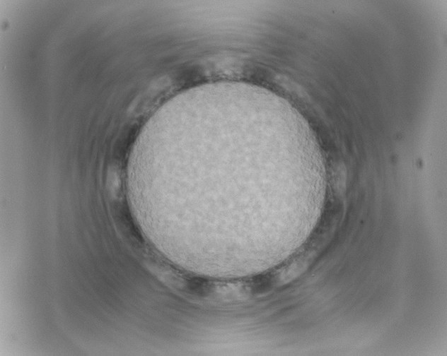 X0000074970709200609291938