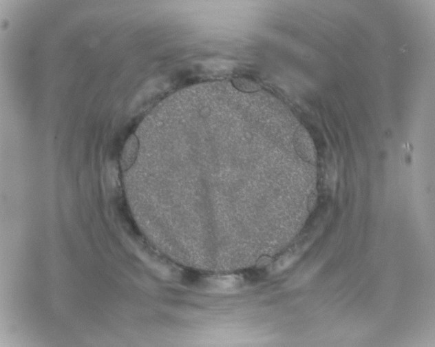 X0000074970711200609291938