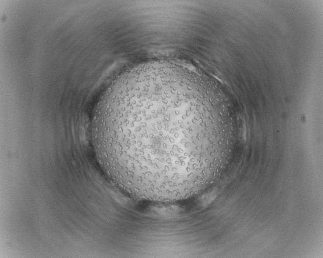 X0000074970712200609291938