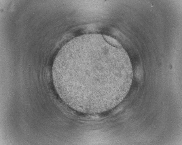 X0000074970715200609291938