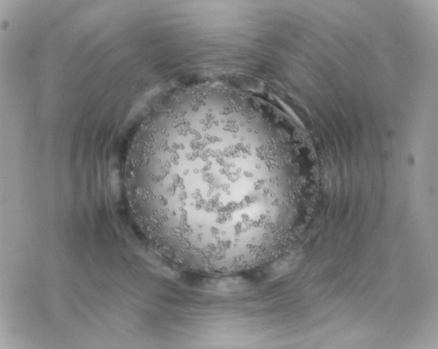 X0000074970716200609291938