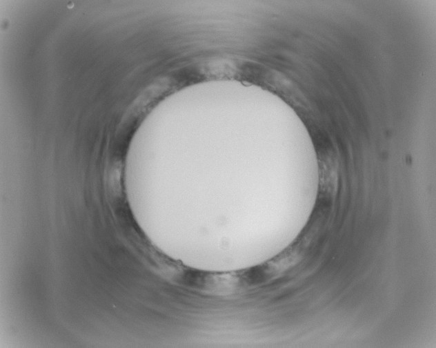 X0000074970717200609291938