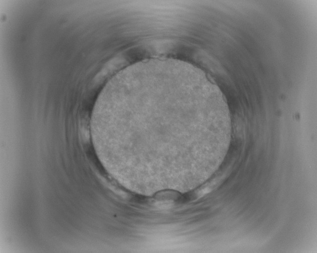 X0000074970719200609291938