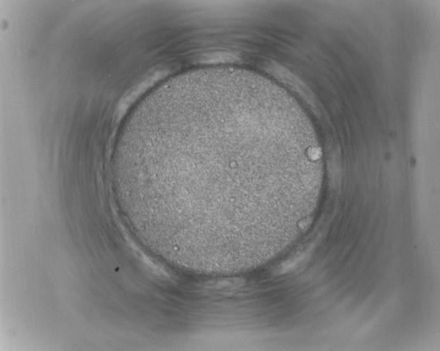 X0000074970721200609291937