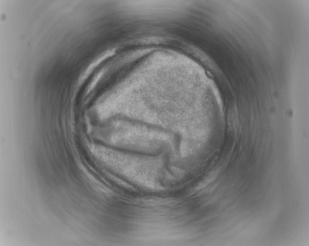 X0000074970722200609291937