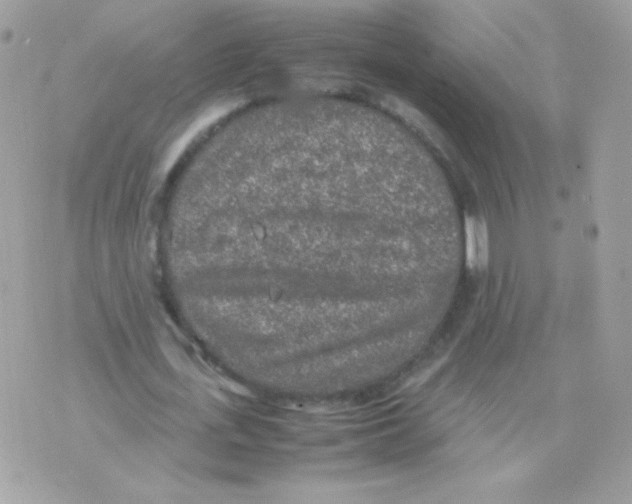 X0000074970723200609291937